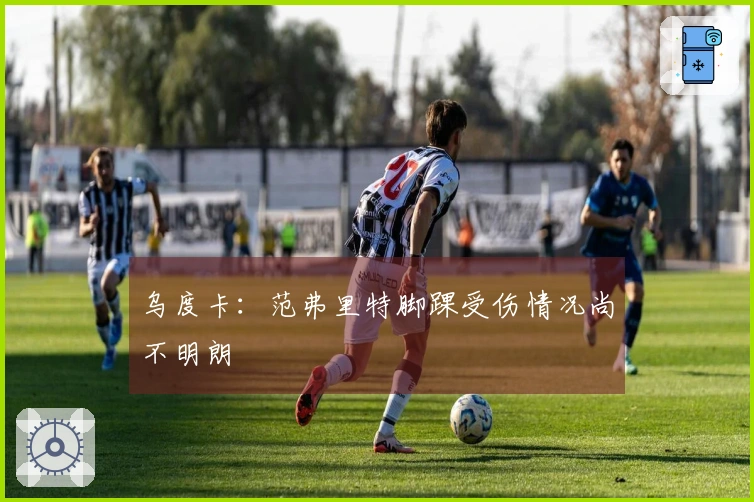 乌度卡：范弗里特脚踝受伤情况尚不明朗