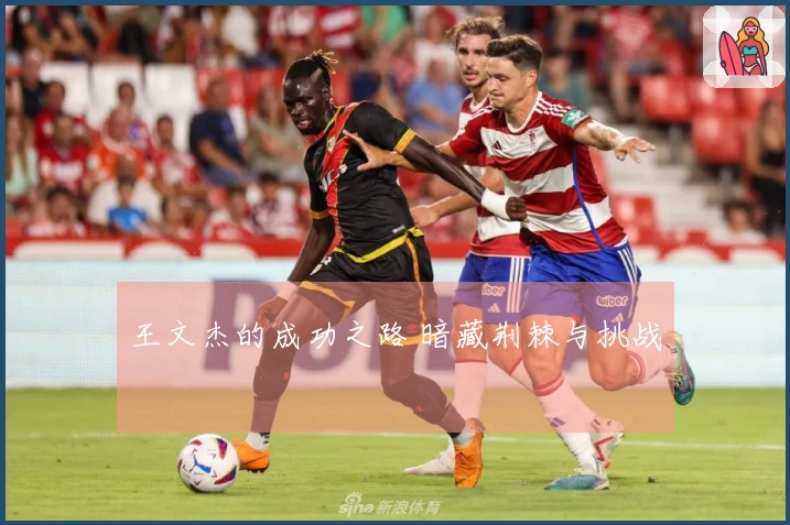 王文杰的成功之路 暗藏荆棘与挑战