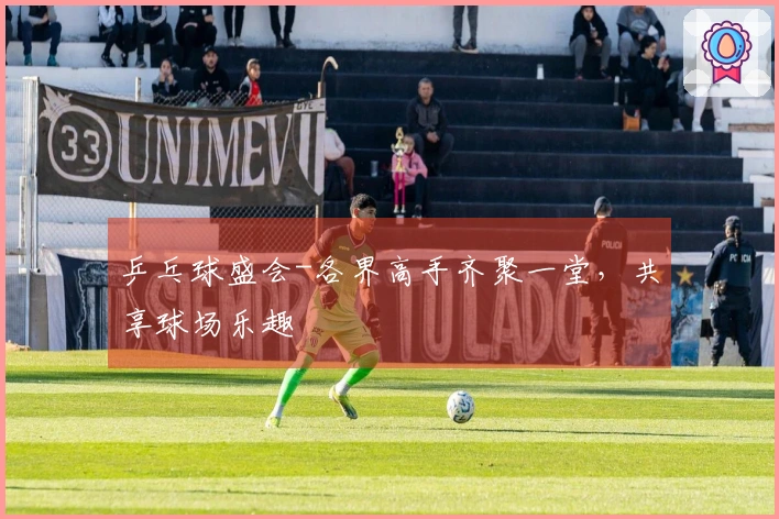 乒乓球盛会-各界高手齐聚一堂，共享球场乐趣