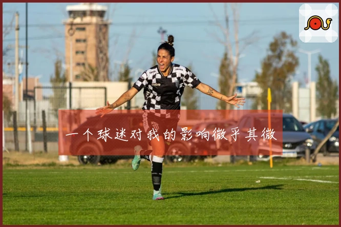 一个球迷对我的影响微乎其微