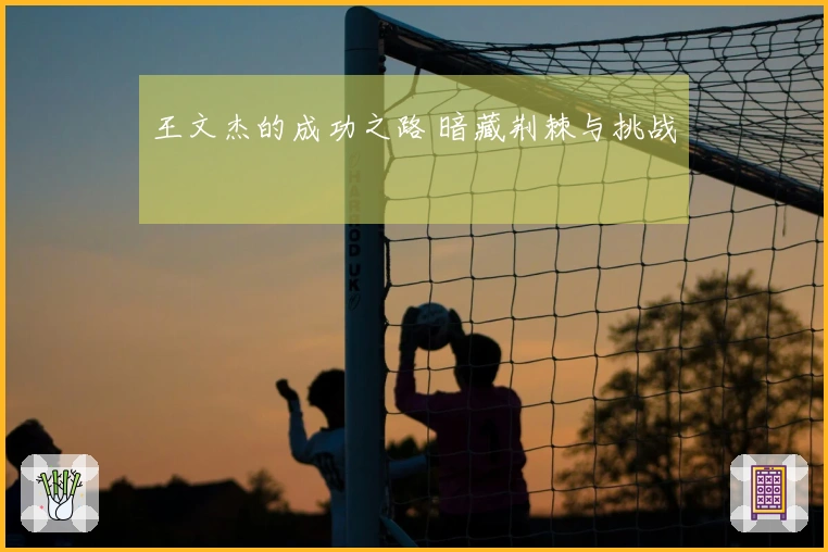 王文杰的成功之路 暗藏荆棘与挑战