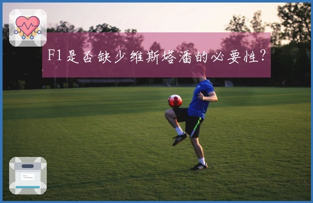 F1是否缺少维斯塔潘的必要性？