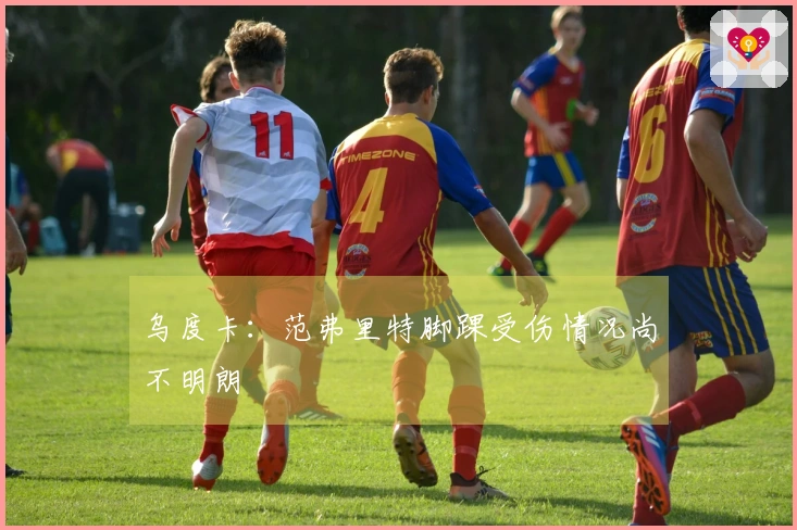 乌度卡：范弗里特脚踝受伤情况尚不明朗
